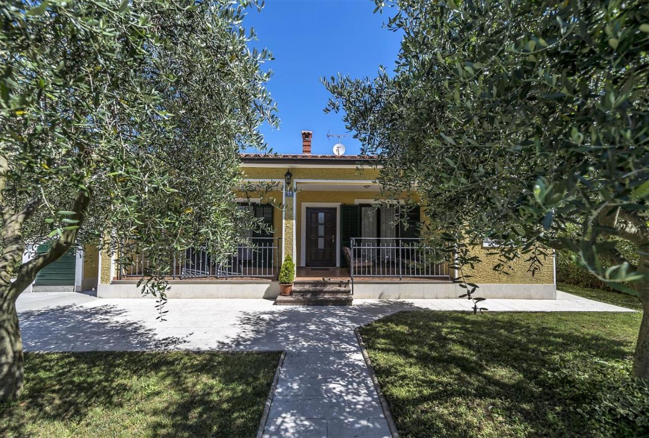 Spacious Three-Bedroom Villa Balun With Pool Poreč Exteriér fotografie